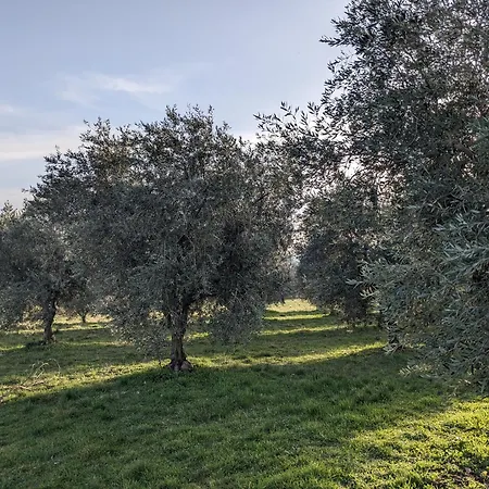 Le Relais Laviolette Casa vacanze Cruis
