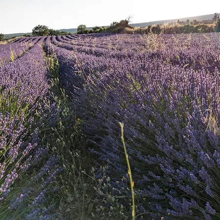 Le Relais Laviolette Hébergement de vacances